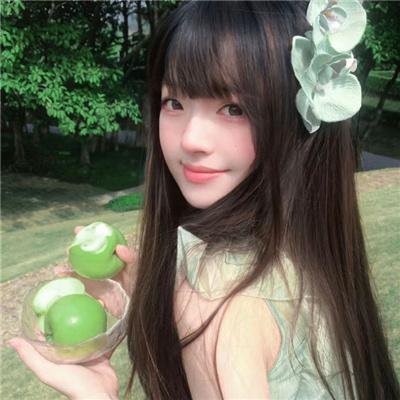 胡桃钳与奇幻四国